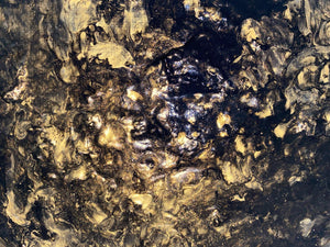 Gold Rush 30 cm x 30 cm Gold Black Textured Abstract Painting